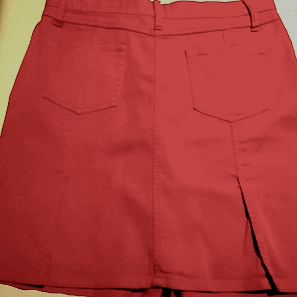 Retro Skirt